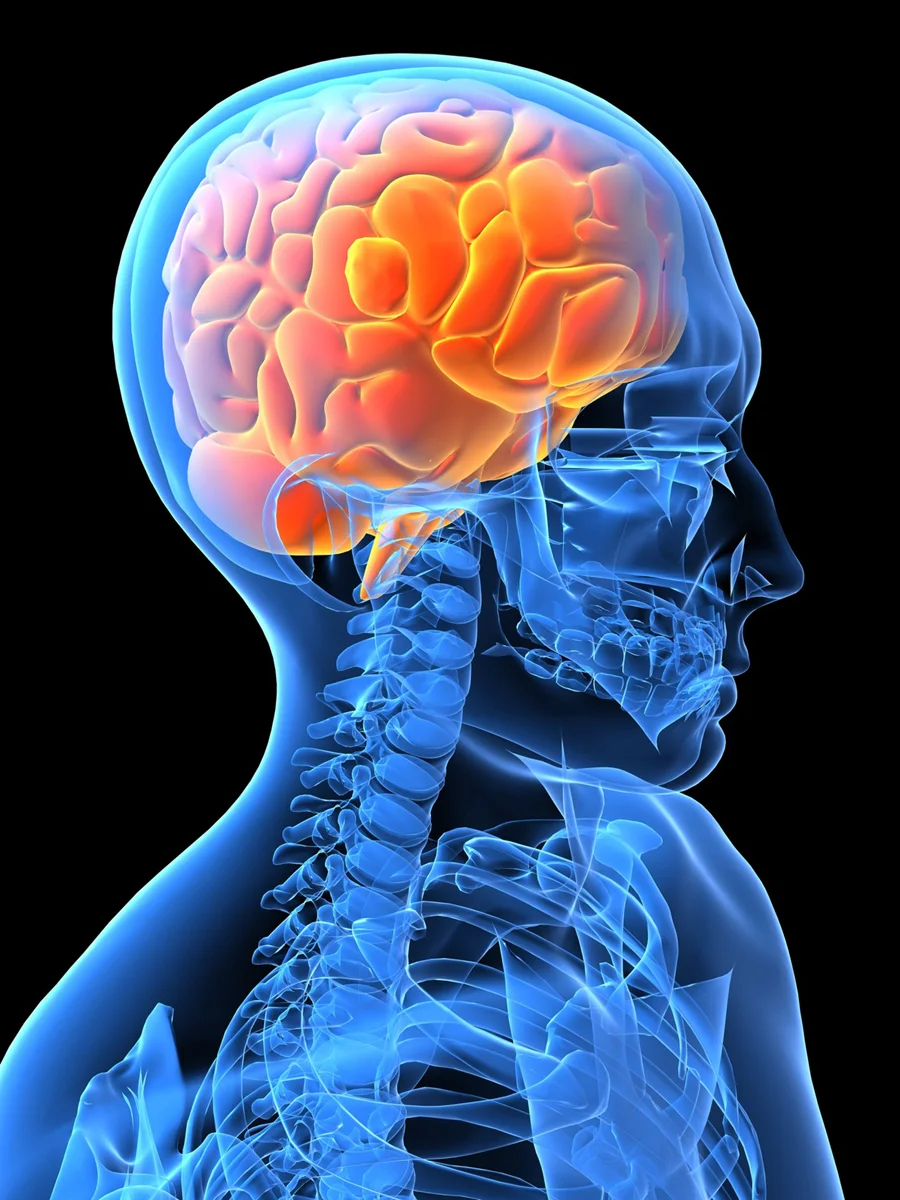 Neuropsicologia em Santos - Avaliação Neuropsicológica